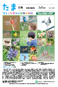 たま広報